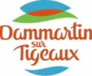 epaviste autours de Dammartin-sur-Tigeaux (77163)