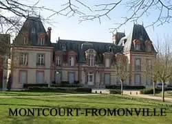 epaviste à proximité de Montcourt-Fromonville (77140)
