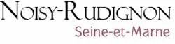 epaviste autours de Noisy-Rudignon (77940)