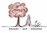 enlevement epave gratuit Prunay-sur-Essonne (91720)