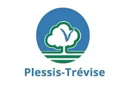 casse voiture Le Plessis-Trévise (94420)