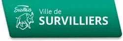 casse voiture Survilliers (95470)
